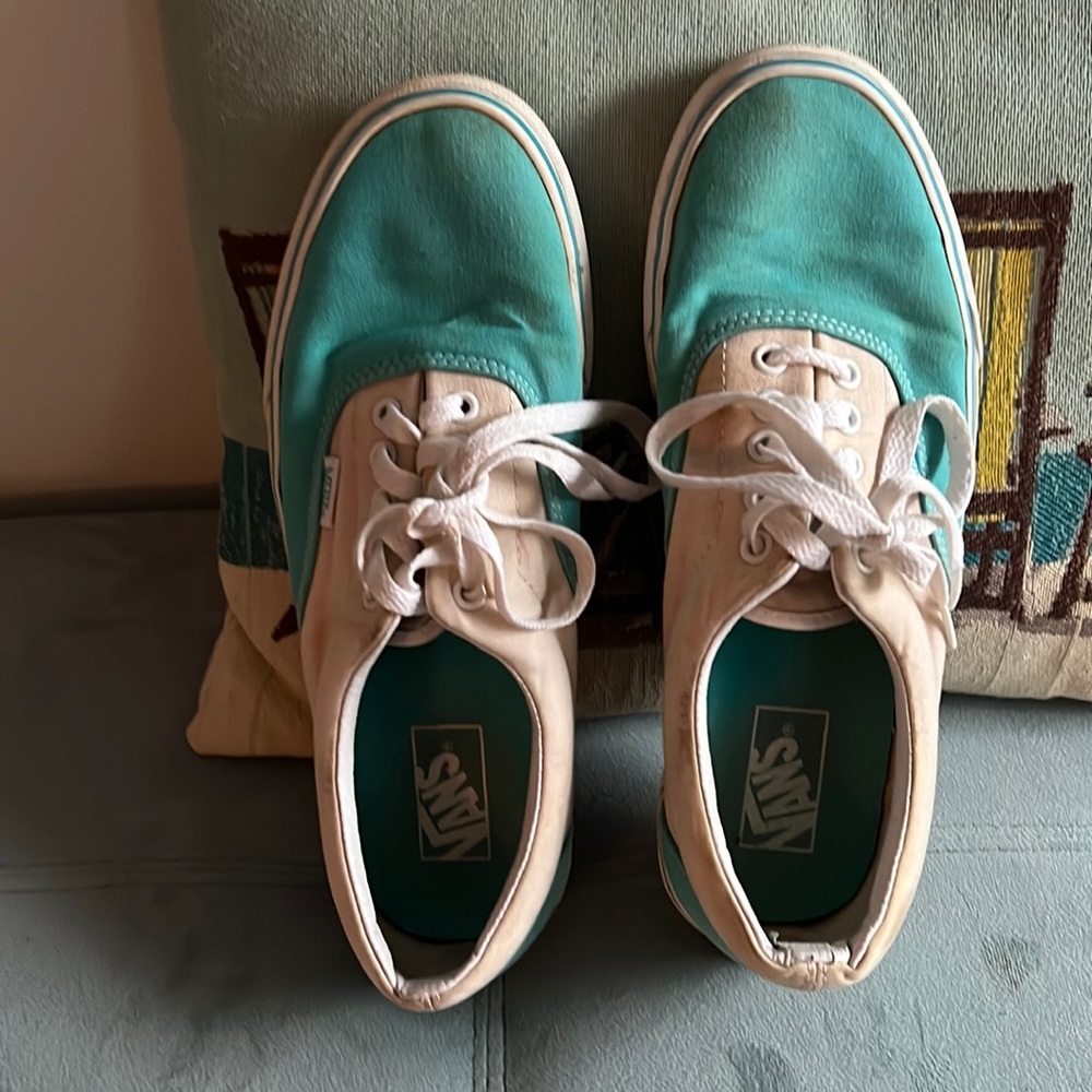 Mens Van Shoes